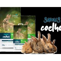 Dist. de Alimentos p/ t/ tipo de Animais | Sanus Coelhos | Saco de 5/ 10 / 25 kg  (SANUS  R 704) Coelhos Reprodutores de Crescimento e Engorda.